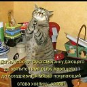 ���� ���� �������, ������, 64 ���� - ��������� 28 ������ 2016 � ������ ���� ����������