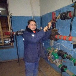 ���� ������, �����-���������, 35 ��� - ��������� 20 ����� 2017