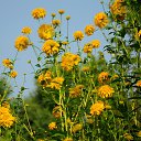 ���� �����, ������ - ��������� 27 �������� 2016