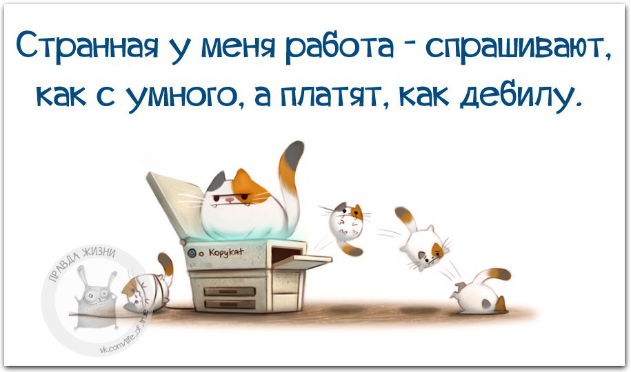   - 6  2016  20:21