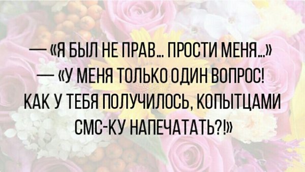   ... - 29  2017  19:07