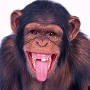 ���� ������, ������ - ��������� 29 �������� 2016