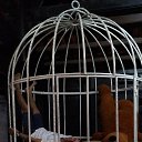  C, , 42  -  26  2017    