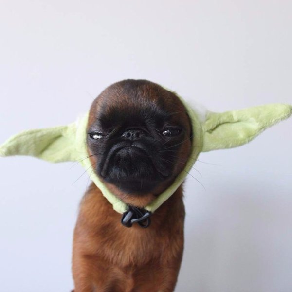 ��������� ������. - 6