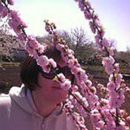 ��������, ��������, 63 ����