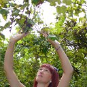 ���� ����, ������ - ��������� 21 �������� 2016 � ������ ���� ����������