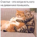 ���� ������, ������ - ��������� 10 ������ 2016 � ������ ���� ����������