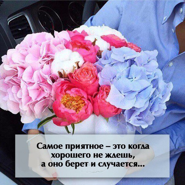    - 27  2016  14:49