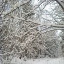 ���� ���������, ����, 55 ��� - ��������� 26 ������� 2017 � ������ ���� ����������