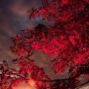 ���� �����, ����� - ��������� 23 ������� 2016 � ������ ���������