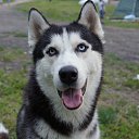 ���� �������, ������� ������, 42 ���� - ��������� 22 ������� 2017