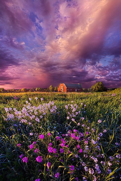    . Phil Koch - 9