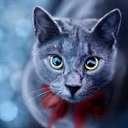 ���� Gfdgfg, ���� - ��������� 6 ������� 2017