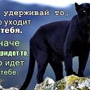 ���� �����, ������ - ��������� 17 ������� 2016 � ������ ��� ���