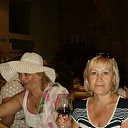  ,  , 65  -  15  2016    