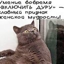 ���� �������, �����������, 47 ��� - ��������� 17 ����� 2017 � ������ ���� ����������