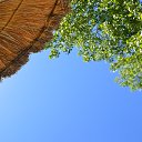 ���� ������, ������, 40 ��� - ��������� 12 ������� 2016 � ������ ������ ��������