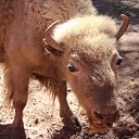 ���� �����, ��������, 48 ��� - ��������� 6 ����� 2017 � ������ ��������� ������� � ������