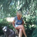 ���� ����, ���������, 54 ���� - ��������� 8 ������ 2017 � ������ ���� ����������