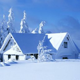 ���������, ����, 63 ����