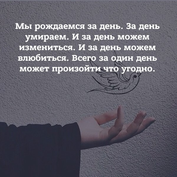  | ,  - 23  2017  19:54