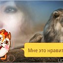 ���� ������, ������, 50 ��� - ��������� 6 ������ 2017 � ������ ���� ����������