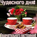 ���� �������� ( �� �������� ��), ��� - ��������� 19 ����� 2017 � ������ ������ ��������