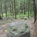 ���� �������, ������, 60 ��� - ��������� 29 ������ 2017 � ������ ������ ��������