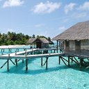 ���� Aleks, �������, 41 ��� - ��������� 22 ������� 2017