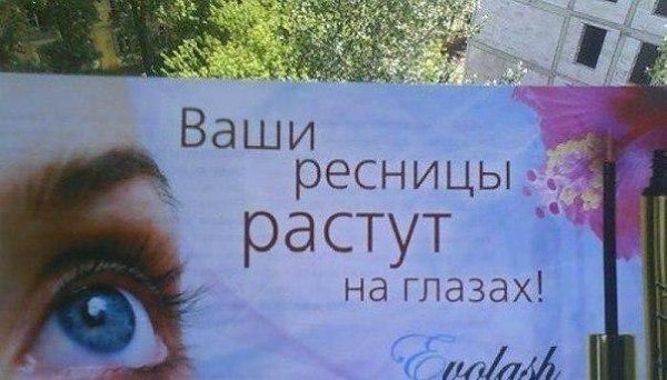 Друзья, я только что узнал нечто совершенно невероятное. возможно, вас это повергнет в шок, но я ...