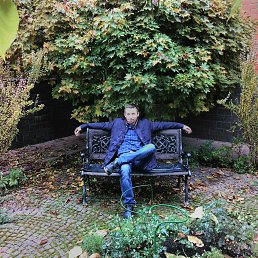 ������, ������, 38 ���