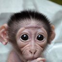 ���� ������, ������ - ��������� 5 ������� 2016 � ������ ������