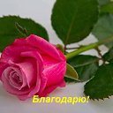 ���� ������, ������ - ��������� 7 ������ 2016 � ������ ����� �����