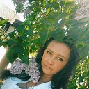  ,  , 52  -  12  2016    