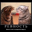 ���� �������, �������� - ��������� 11 ������ 2016 � ������ ������ ��������