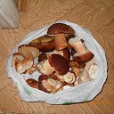 16.09.16 �� ������� ���� ����������