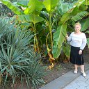  , , 73  -  25  2016     2016