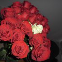 ���� ����, ���������� - ��������� 8 ������ 2016
