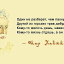 ���� Igor, ������ - ��������� 23 ������� 2016 � ������ ������ ��������