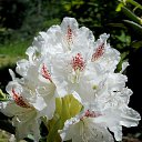 22.05.2016 �� ������� �������� ������������ ���.�