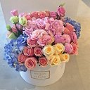 ���� ����, ����� - ��������� 6 ����� 2017