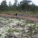 ���� ������, �����-���������, 67 ��� - ��������� 15 �������� 2016 � ������ ���������