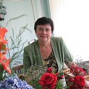 ���� ��������, �������� - ��������� 24 ������ 2016 � ������ ���� ����������