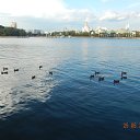 ���� �����, ���� - ��������� 3 ������� 2016 � ������ �������������