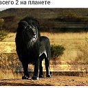 ���� ������� ����������, ��� - ��������� 5 ������� 2017 � ������ ���� ����������