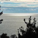  , , 60  -  26  2017   ,21.01.17. &quot;&quot;))