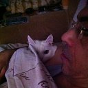 ���� �������, �������, 54 ���� - ��������� 29 ������� 2016