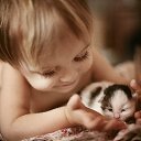 ���� �����, ����������, 62 ���� - ��������� 10 ������ 2016 � ������ ���� ����������