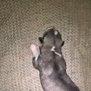 ���� �����, ������, 52 ���� - ��������� 30 ������� 2016 � ������ ���� ����������