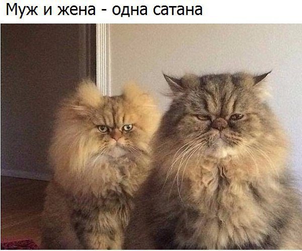 ������� ����� ����� :-) - 28 ����� 2017 � 04:05